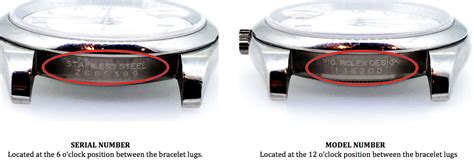 rolex carry case|rolex case serial numbers.